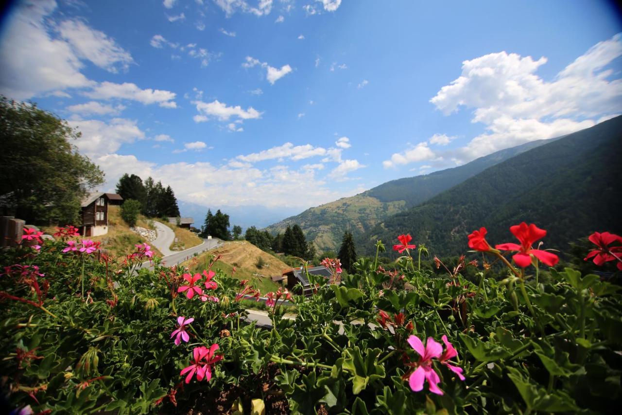 Bleusydyllique Bed & Breakfast Nendaz Eksteriør bilde